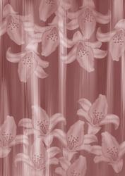 Dusky Pink Painted Lily Sides A4 Backing Paper