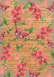 Burnt Orange Coloured Sweet Pea Stamp A4 Backing Paper