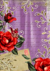 Lilac Colour Red Rose Painted Postcard A4 Backing Paper