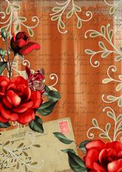 Burnt Orange Colour Red Rose Paint Postcard A4 Backing Paper