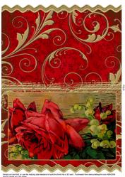 Vivid Roses Wavy Card