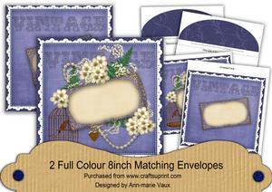 Vintage Blue Birdcage Ornate 8in Envelope Kit