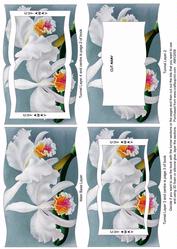 Calm Orchid Tunnel Book Sheet