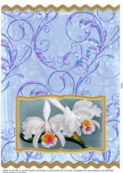 Calm Orchid Wavy Edge Book Card
