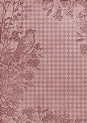 Dusky Pink Bird Edge Check A4 Backing Paper