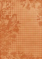 Burnt Orange Bird Edge Check A4 Backing Paper