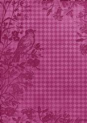 Cerise Bird Edge Check A4 Backing Paper