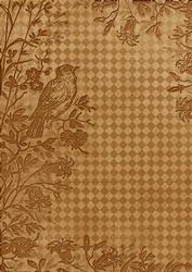 Vintage Tea Bird Edge Check A4 Backing Paper