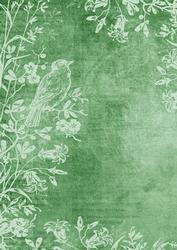 Mint Green Bird Edge Light A4 Backing Paper