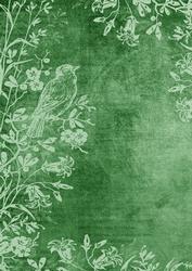 Mid Green Bird Edge Light A4 Backing Paper