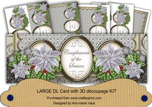 Silver Poinsettia Compliments of Season Large Dl Card Kit