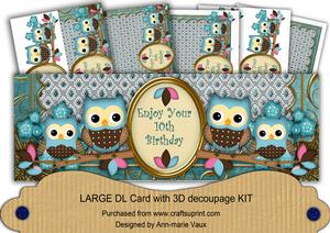 Blue Owls 10th Birthday Large Dl Decoupage Card Kit