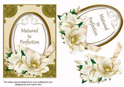 Cream Magnolia Matured to Perfection Oval 7x5in Step by Step