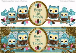 Blue Owls 13th Birthday Large Dl Decoupage Step by Step
