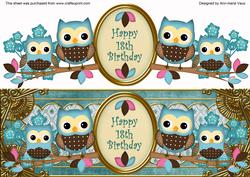 Blue Owls 18th Birthday Large Dl Decoupage Step by Step