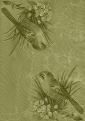 Olive Bird Duo A4 Backing Paper