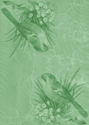 Mint Green Bird Duo A4 Backing Paper