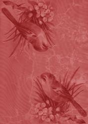 Red Bird Duo A4 Backing Paper