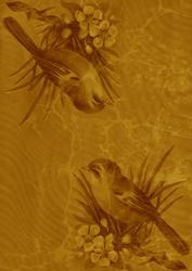 Gold Bird Duo A4 Backing Paper