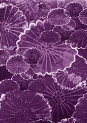Purple Oriental Lily Pad A4 Backing Paper