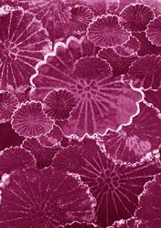 Cerise Oriental Lily Pad A4 Backing Paper