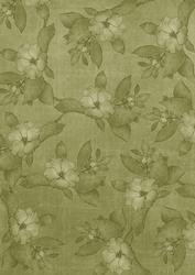 Olive Plain Apple Blossom A4 Backing Paper
