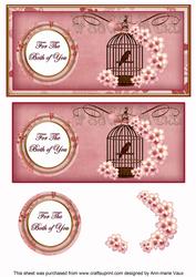Pink Birdcage Both of You Dl Decoupage Topper