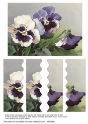 Pansies Wavy Side Stackers