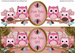 Pink Owls New Baby Girl Large Dl Decoupage Topper