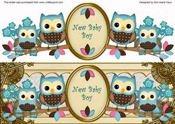Blue Cream Owls New Baby Boy Large Dl Decoupage Topper