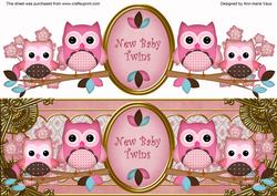 Pink Owls New Baby Twins Large Dl Decoupage Topper