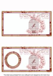 Pink Birdcage Dl Insert Panel