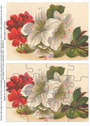 Christmas Amarylis Jigsaw Puzzle Card Front