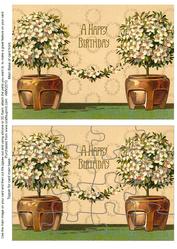 Happy Birthday Duo Jigsaw Puzzle Card Front