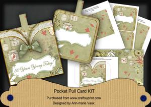 Olive Birdcage 50 Years Young Vintage Pocket Pull Kit