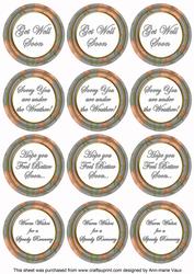 Silver Flora Col Get Well Soon Mix Sentiment Round Toppers