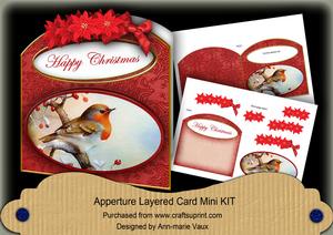 Red Robin Happy Christmas Aperture Decoupage Card Mini Kit