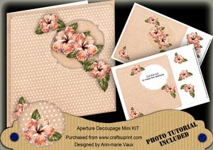 Peach Hibiscus 8in Aperture Decoupage Cf Mini Kit