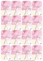 Pink Poppy Matching Floral Perfume Mixed Sentiment Cards