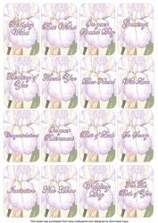 Iris Purple Matching Floral Perfume Mixed Sentiment Cards