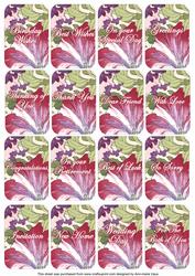 Petunia Mix Matching Floral Perfume Mixed Sentiment Cards