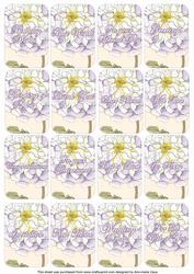 White Floral Matching Floral Perfume Mixed Sentiment Cards