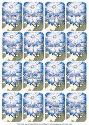 Blue Daisies Matching Floral Perfume Mixed Sentiment Cards