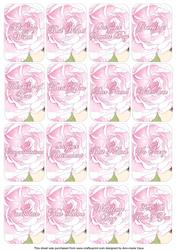 Pink Rose Matching Floral Perfume Mixed Sentiment Cards
