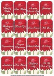 Red Dahlia Matching Floral Perfume Mixed Sentiment Cards