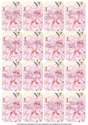 Carnations Matching Floral Perfume Mixed Sentiment Cards