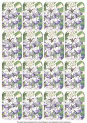 Blue Lupin Matching Floral Perfume Mixed Sentiment Cards