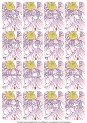 White Dahlia Matching Floral Perfume Mixed Sentiment Cards