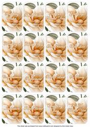 Boran Magnolia Matching Floral Perfume Mixed Sentiment Cards