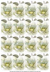 Olive Magnolia Matching Floral Perfume Mix Sentiment Cards
